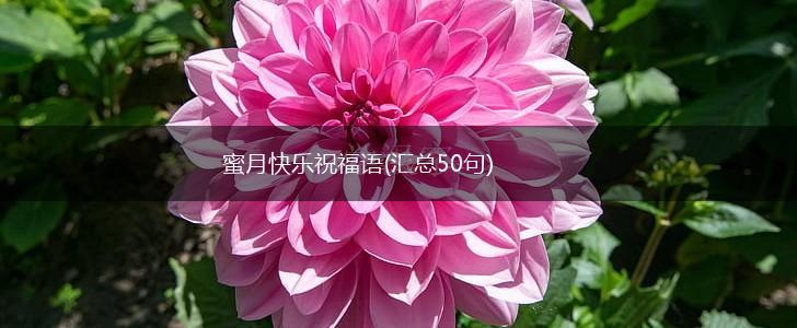 蜜月快乐祝福语(汇总50句),第1张