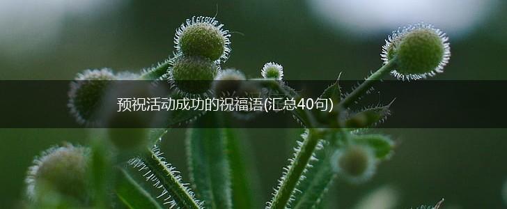 预祝活动成功的祝福语(汇总40句),第1张