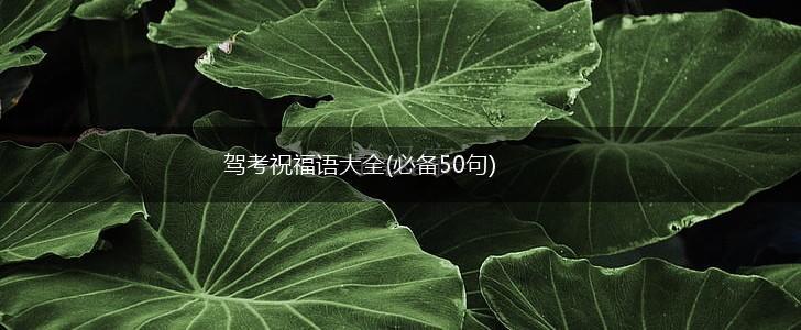 驾考祝福语大全(必备50句),第1张