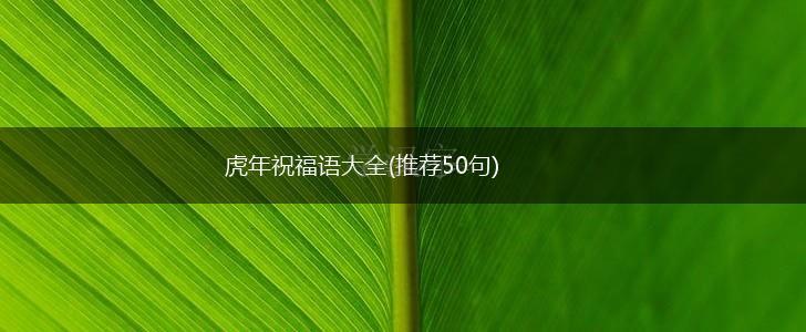 虎年祝福语大全(推荐50句),第1张