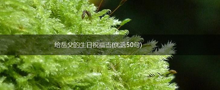 给岳父的生日祝福语(优选50句),第1张