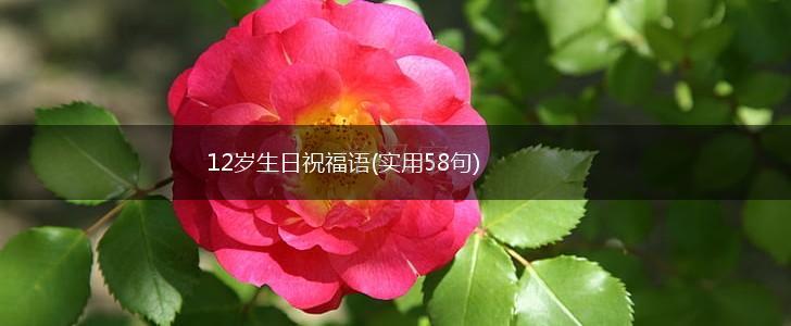 12岁生日祝福语(实用58句),第1张