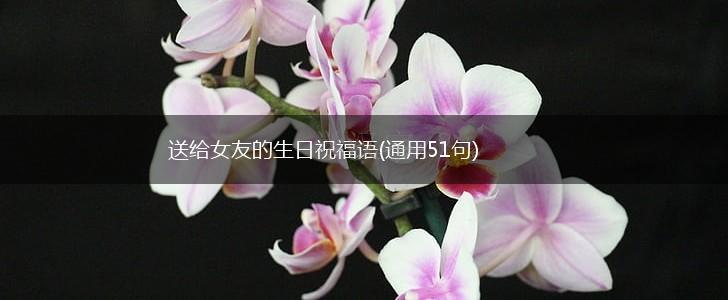 送给女友的生日祝福语(通用51句),第1张