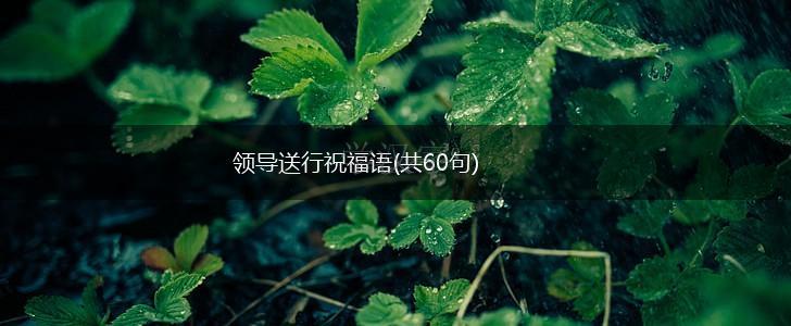 领导送行祝福语(共60句),第1张