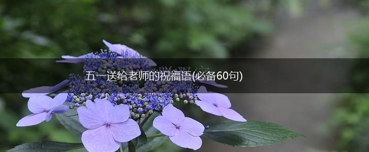 五一送给老师的祝福语(必备60句),第1张