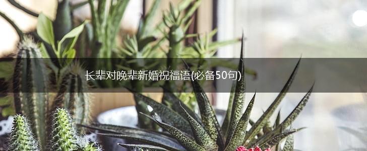 长辈对晚辈新婚祝福语(必备50句),第1张