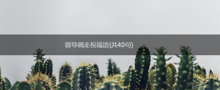 领导调走祝福语(共40句),第1张