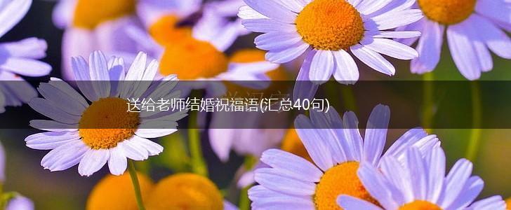 送给老师结婚祝福语(汇总40句),第1张