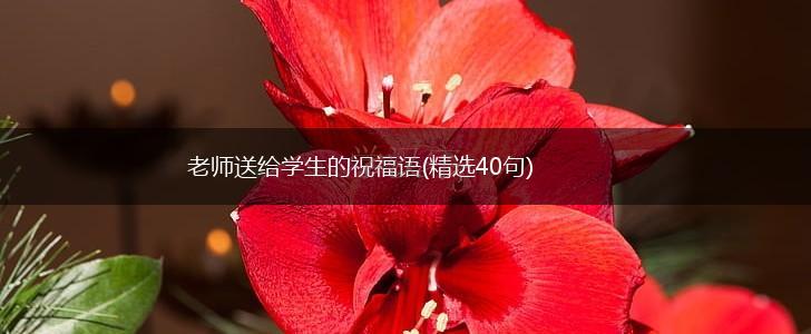 老师送给学生的祝福语(精选40句),第1张