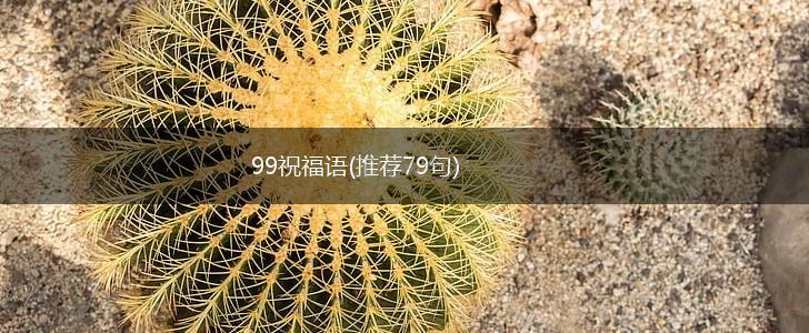 99祝福语(推荐79句),第1张