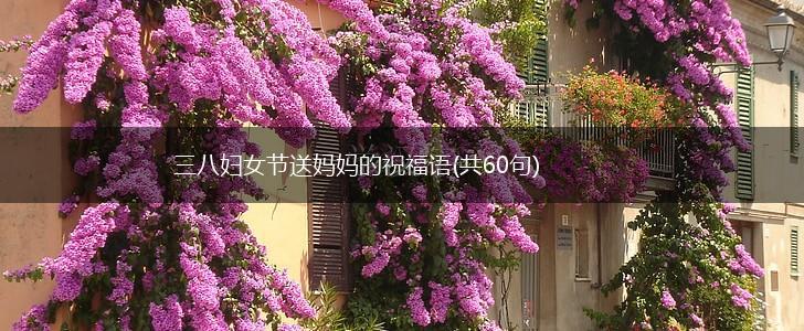 三八妇女节送妈妈的祝福语(共60句),第1张