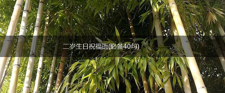 二岁生日祝福语(必备40句),第1张