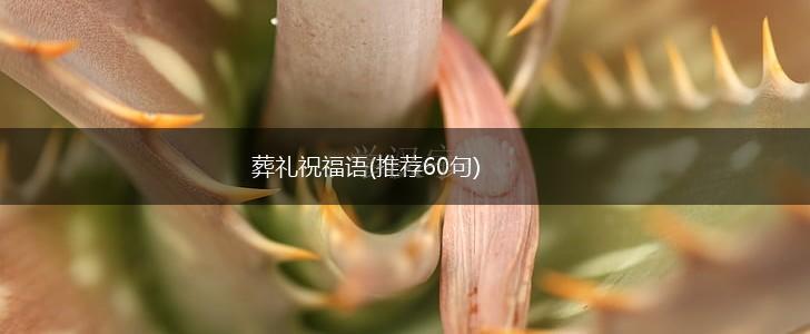 葬礼祝福语(推荐60句),第1张