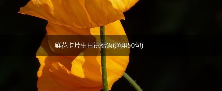 鲜花卡片生日祝福语(通用50句),第1张