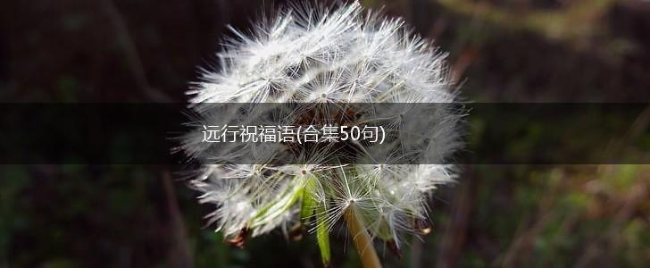 远行祝福语(合集50句),第1张