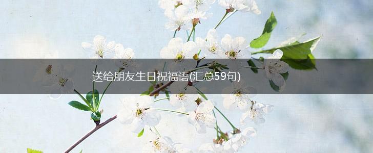 送给朋友生日祝福语(汇总59句),第1张