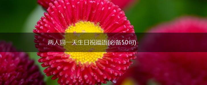 两人同一天生日祝福语(必备50句),第1张