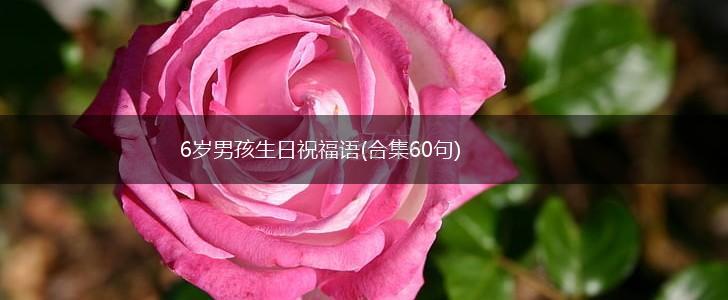 6岁男孩生日祝福语(合集60句),第1张