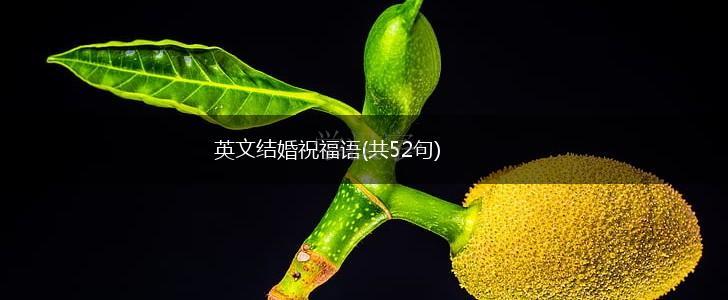 英文结婚祝福语(共52句),第1张