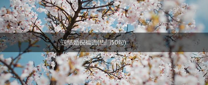 送结婚祝福语(热门50句),第1张