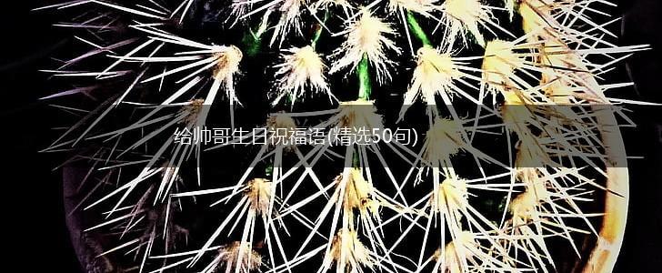 给帅哥生日祝福语(精选50句),第1张