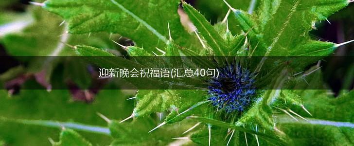 迎新晚会祝福语(汇总40句),第1张