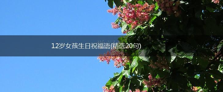 12岁女孩生日祝福语(精选20句),第1张