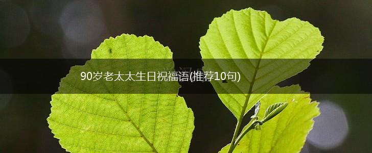 90岁老太太生日祝福语(推荐10句),第1张