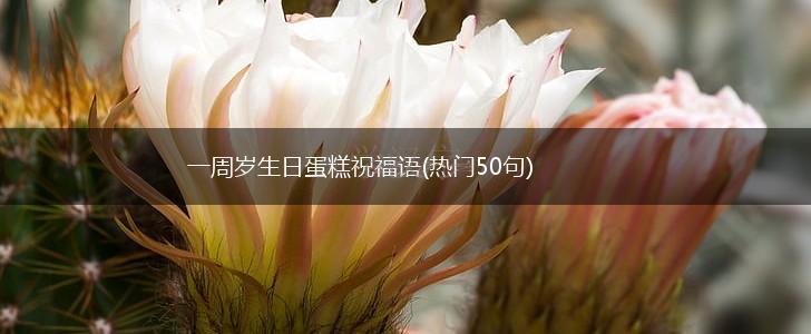 一周岁生日蛋糕祝福语(热门50句),第1张