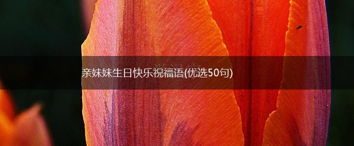 亲妹妹生日快乐祝福语(优选50句),第1张