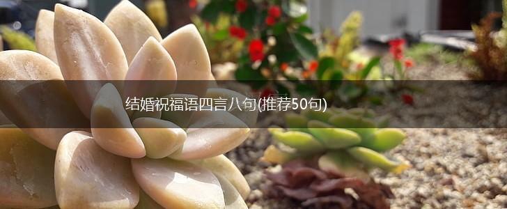 结婚祝福语四言八句(推荐50句),第1张