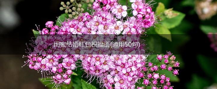 闺蜜结婚红包祝福语(通用50句),第1张