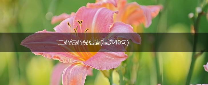 二婚结婚祝福语(精选40句),第1张