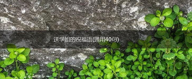 送学姐的祝福语(通用40句),第1张