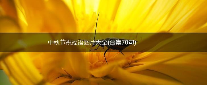 中秋节祝福语图片大全(合集70句),第1张