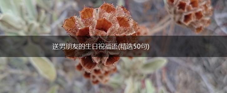 送男朋友的生日祝福语(精选50句),第1张