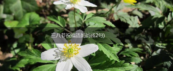 三八节祝福语妈妈(62句),第1张