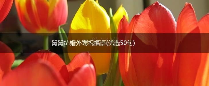 舅舅结婚外甥祝福语(优选50句),第1张