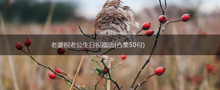 老婆祝老公生日祝福语(合集50句),第1张