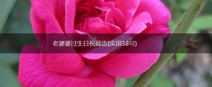 老婆婆过生日祝福语(实用38句),第1张