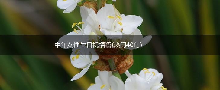 中年女性生日祝福语(热门40句),第1张