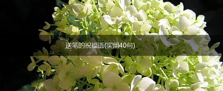 送笔的祝福语(实用40句),第1张