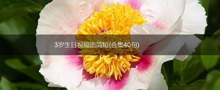 3岁生日祝福语简短(合集40句),第1张