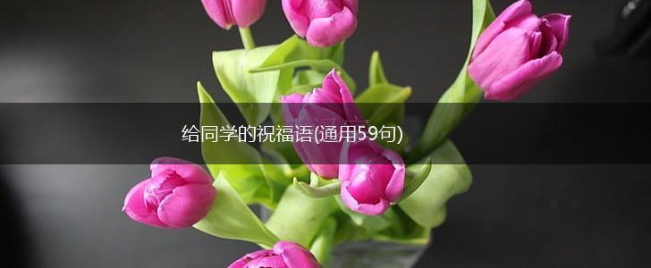 给同学的祝福语(通用59句),第1张