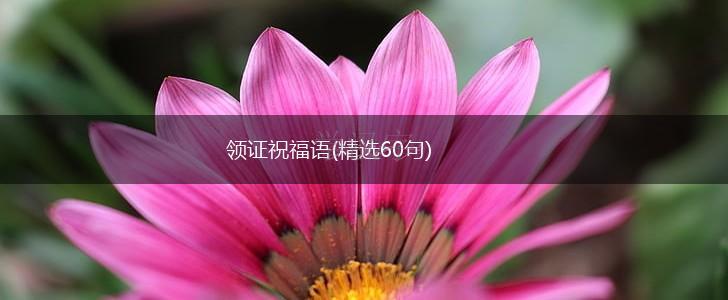 领证祝福语(精选60句),第1张