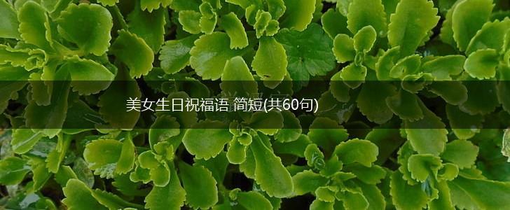 美女生日祝福语 简短(共60句),第1张