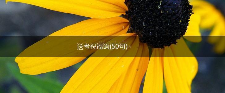 送考祝福语(50句),第1张