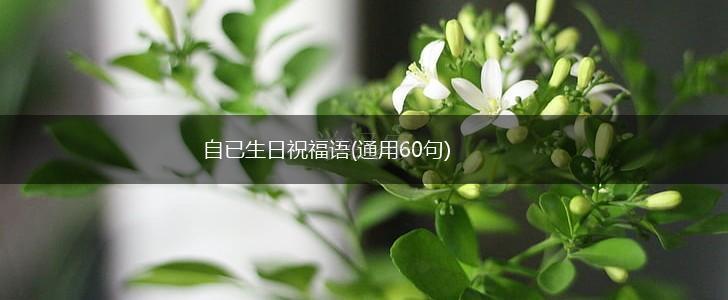 自已生日祝福语(通用60句),第1张