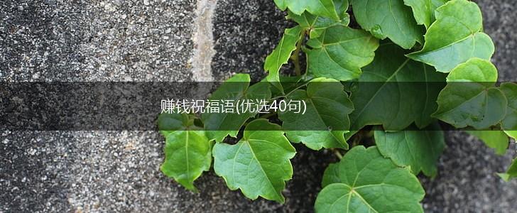 赚钱祝福语(优选40句),第1张