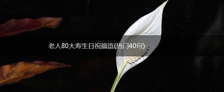 老人80大寿生日祝福语(热门40句),第1张